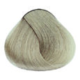 Ash - 10.1 Lightest Blonde Ash