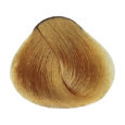 Gold - 10.3 Lightest Blonde Gold