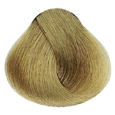 Warm Naturals - 10NB Warm Lightest Blonde