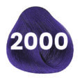 Correctors - 2000 Violet