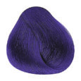 Correctors - 2000 Violet