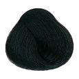 Ash - 5.1 Light Brown Ash