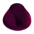 Pure Reds - 5.66I Light Brown Intense Red