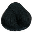 Natural Ash - 6.01 Dark Blonde Soft Ash