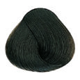 Ash - 6.1 Dark Blonde Ash