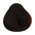 Iced Coffee - 6.23 Dark Blonde Violet Gold