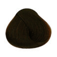 Chestnut - 6.32 Dark Blonde Golden Violet