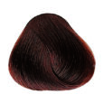 Bronze - 6.45 Dark Blonde Copper Mahogany