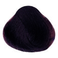 Chocolate - 6.53 Dark Blonde Mahogany Gold