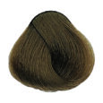 Beige - 7.31 Medium Blonde Golden Ash