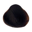 Chestnut - 7.32 Medium Blonde Golden Violet
