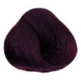 Chocolate - 7.53 Medium Blonde Mahogany Gold