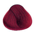 Pure Reds - 7.66I Medium Blonde Intense Red