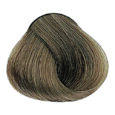 Ash - 8.1 Light Blonde Ash