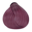Crystal Rose - 8.221 Light Blonde Intense Violet Ash