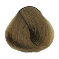 Beige - 8.31 Light Blonde Golden Ash