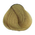 Beige - 9.31 Very Light Blonde Golden Ash