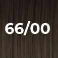 66/00