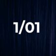 1/01