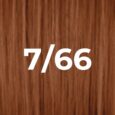 7/66